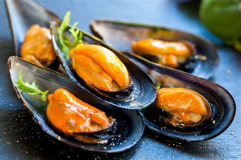  Cozze:  Conchiglie scintillanti che puliscono l'acqua e si nutrono di microscopici frammenti!