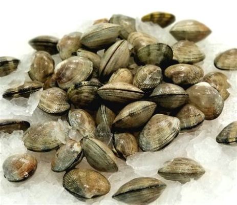 Manila Clam: Discover its Fascinating Journey Through Muddy Waters and its Role as a Delicious Delicacy!